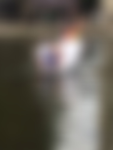 Radio Camping se jette à l'eau avec le LBUE