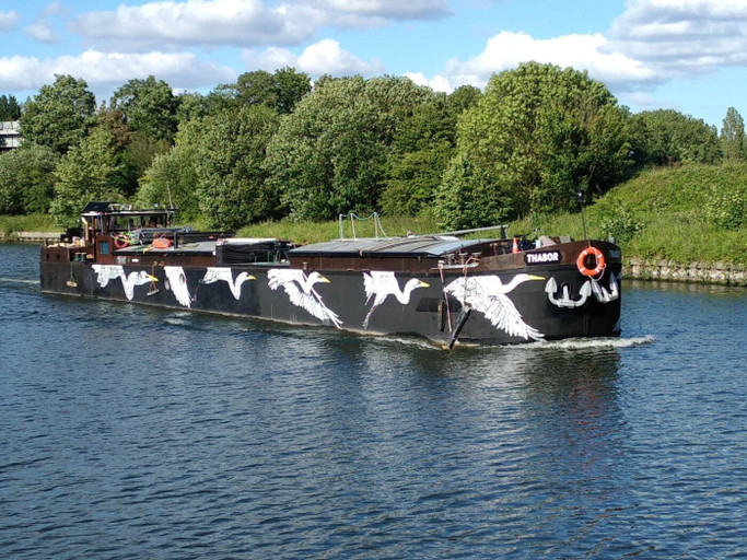 Épisode Mercredi ! RADIOTHABOR de l'émission Mercredi !