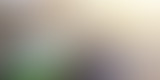 Le Prochain Épisode S1E12 : la fin des séries