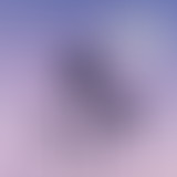 Novorama du 8 Juin 2015 - spéciale Festivals Été