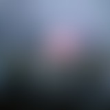 Amplimondes : La France