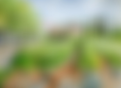 37°2 / Habiller des pierres