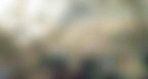 Les Labos de l'Histoire : L'histoire environnement...