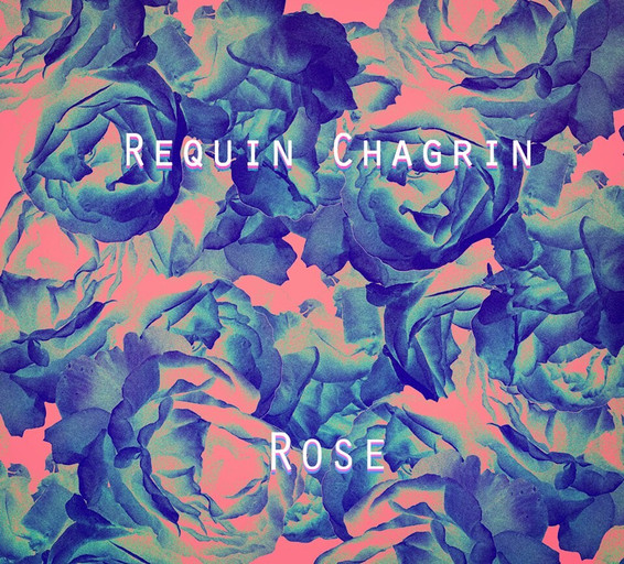 Épisode La Souterraine #11 : Requin Chagrin de l'émission La Souterraine Radio - STRN Radio