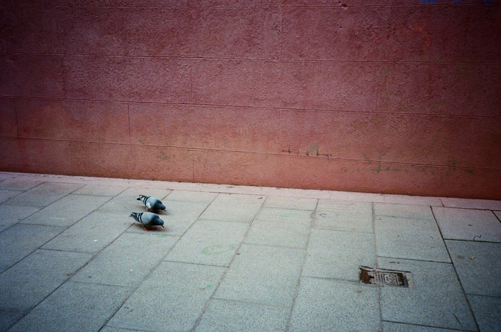 Épisode J'AI VU la pandémie de l'émission J'ai Vu