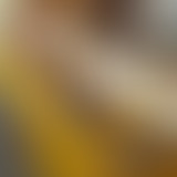 Graine n°22 : Les confitures Re-Belles