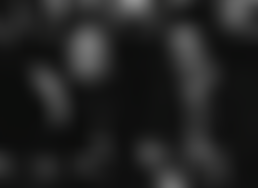 Ma ligne de chance - JP Léaud et le goût d'un plat...