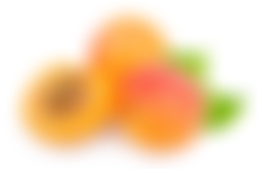 EN SCRED 17/04 : La question co.. LE CUL QUOI