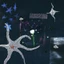 Cosmopaark • Shooting Star