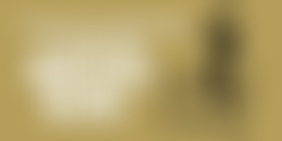 Proxima du 20 Fevrier autour du Festival Banlieues...