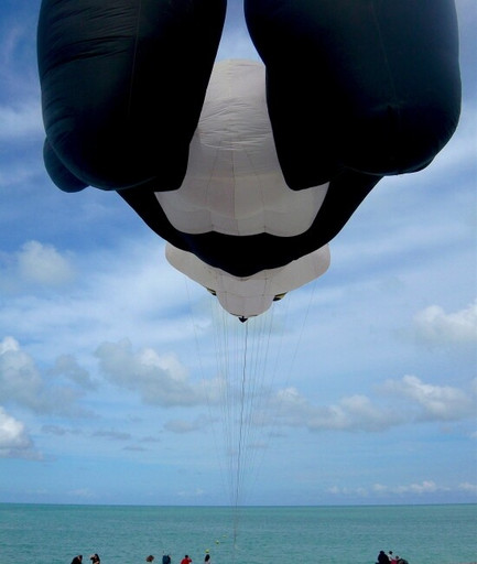 Épisode Pièces Détachées : La poésie comme moyen de révolt... de l'émission Pièces détachées