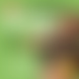 #18 L'Happy Hour Scientifique, LE JEU !