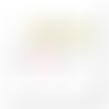 Chablis Hebdo : le Chablis quiiiiizzzzz !!!!