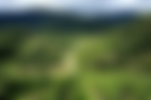 Vigne et volcans : Auvergne & Loire