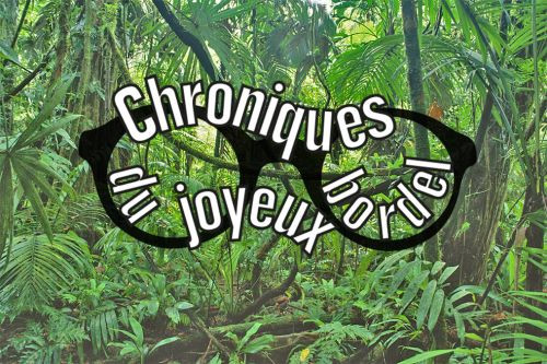 Épisode CJB // L'enquête sur les enquêtes de l'émission Chroniques du Joyeux Bordel