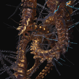 Augustin Braud - No One Incants Our Dust Part. 2 (Reengineered)