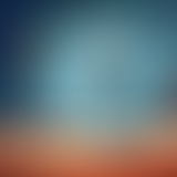 Chablis Hebdo - Chat tout pété