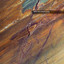 Martin Nonstatic • Samsara