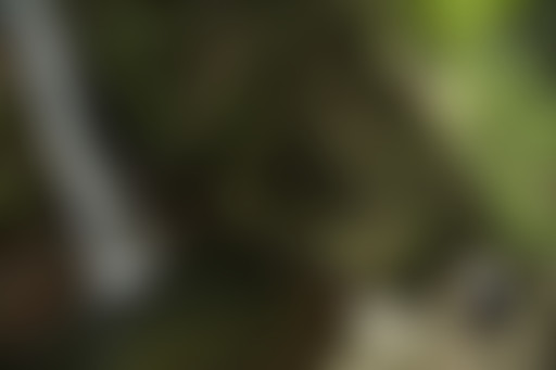 Extérieur Nuit : Une visite à Peckinpah