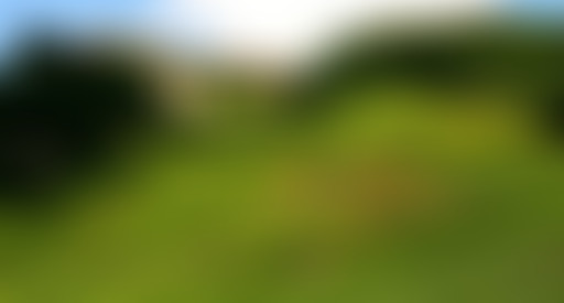 (Podcast) Vin jaune & cie : le vignoble Jurassien