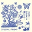 Special Friend • Clipping