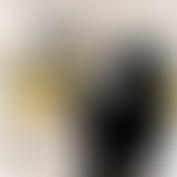 Ennouvellement « Zones d’Ombre » par Emmanuelle Fa...