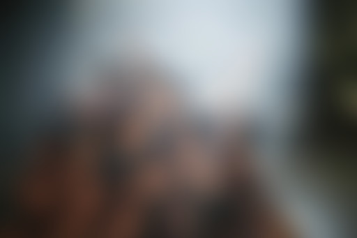 Extérieur Nuit : ESPIONNES ET POLICIÈRES