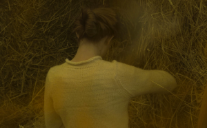 Épisode Les Ballades de Sarah Nelson - Poil de Carotte # 7 de l'émission Les Ballades de Sarah Nelson