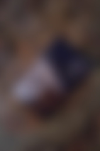 Loulou lit Dostoïevski - Le rêve d'un homme ridicu...