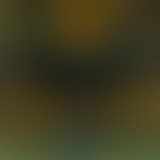 Amplitudes : Musiques anxiogènes² - Back from the...