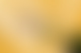 LCSLT : Les champagnes de vignerons