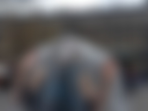 Pièces détachées : C'est occupé ! Chronique de l'o...