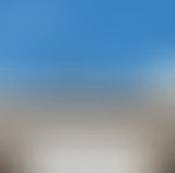 Yummy // Proto-Post-Punk & Future Folklore Records