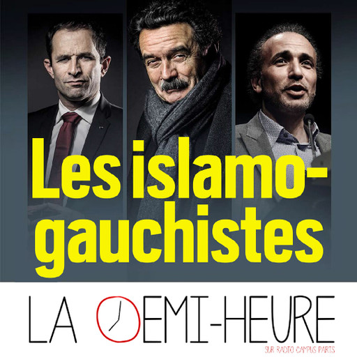 Épisode La demi-heure // L'islamo-gauchisme de l'émission La demi-heure