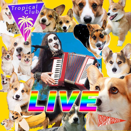 Épisode Tropical Club Plage #42 de l'émission Naufrage à Waikiki