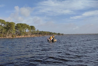 Comment protéger efficacement l’anguille européenne ? 2/2 - L'Europe vue d'ici #156