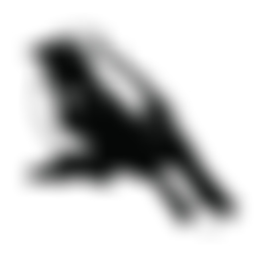 Amplitudes : Home Normal