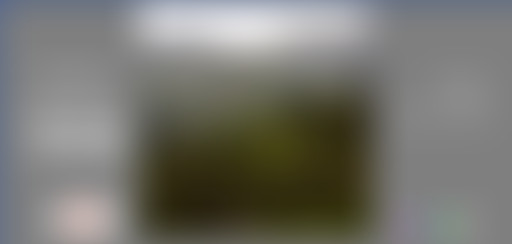 Récréation Sonore - Lie Mineure