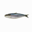 Oxis • Long Sardine x Mr. Brightside