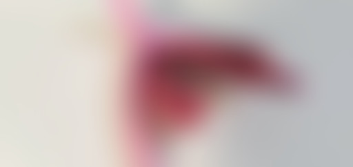 Le Cabinet de Curiosité Féminine // Vaginale Vs Cl...