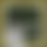 Bam Salute Show : Roots Attack