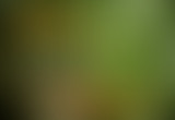 Pièces détachées : Une place pour l'émergence ?