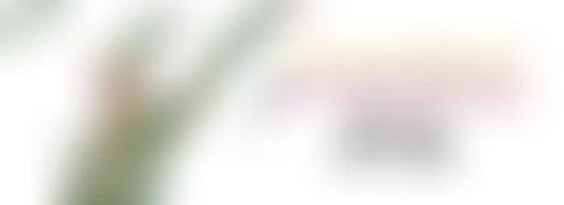 POPERS #3 - PARTY (Season Finale).