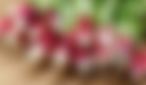 Chablis Hebdo - Le bilan carbone des radis