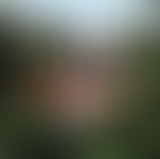 Baco @ Bam Salute Show