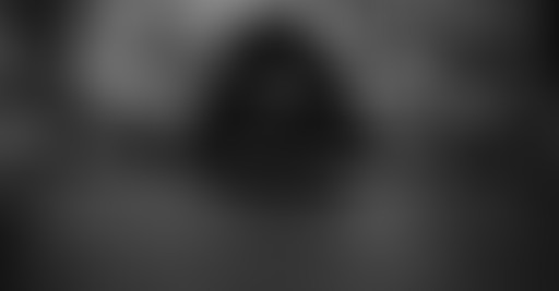 La releve - photos préhistoriques avec R Dalla Por...