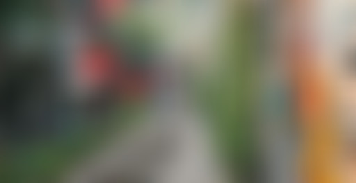 Mappemonde : le Vietnam