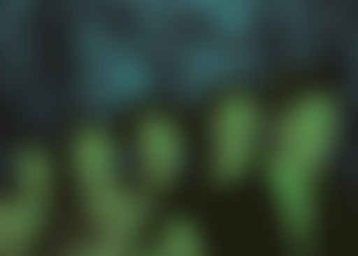 La Souterraine : Le Roi Angus