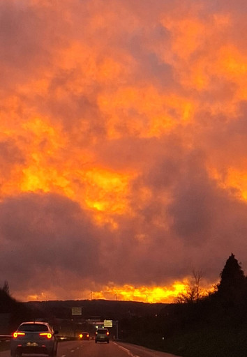 Épisode Voix enchantées épisode 26 - Sami de l'émission Voix enchantées