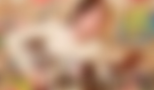 Jeffrey Lewis dans Lives Factory